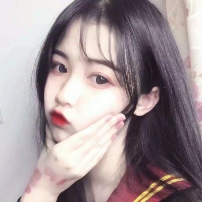 熊猫博士小镇2024最新完整版下载